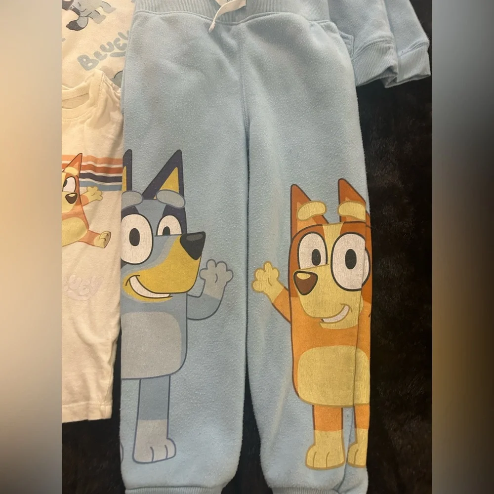 Toddler Boys Bluey Paw Patrol Clothing Lot Size 4T Playwear
